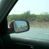 MTY40908 028.jpg
